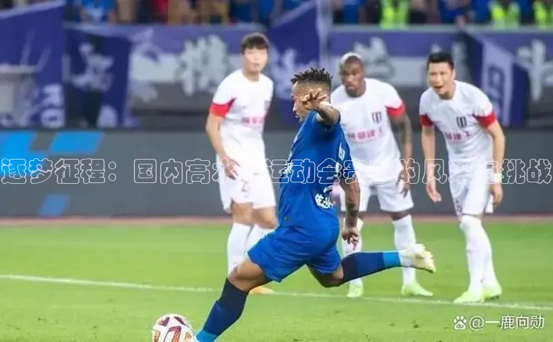 摩登7lite京东逐梦征程：国内高水平运动会赛事的风采与挑战