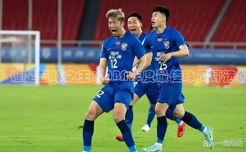 谁是篮球之王：NBA年度最佳球员评选