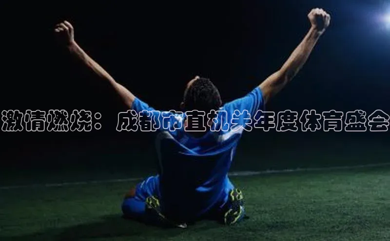 激情燃烧：成都市直机关年度体育盛会