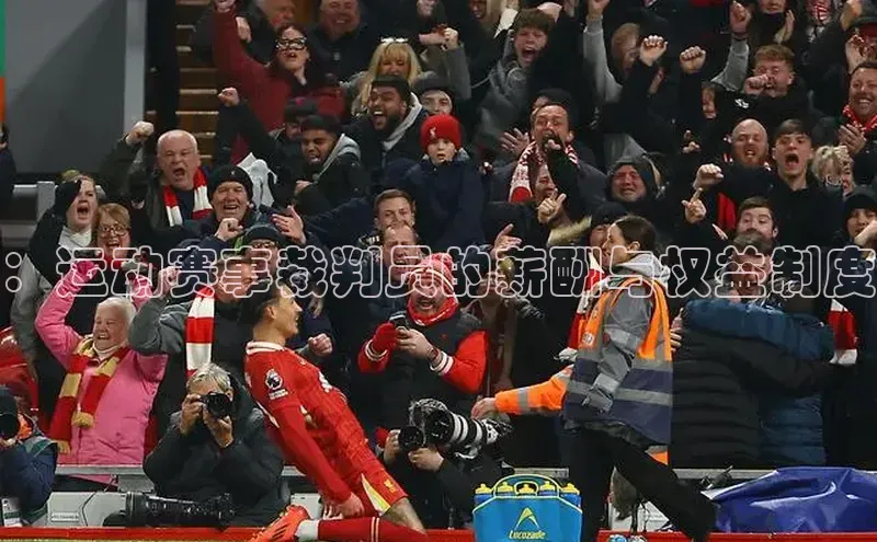 ：运动赛事裁判员的薪酬与权益制度