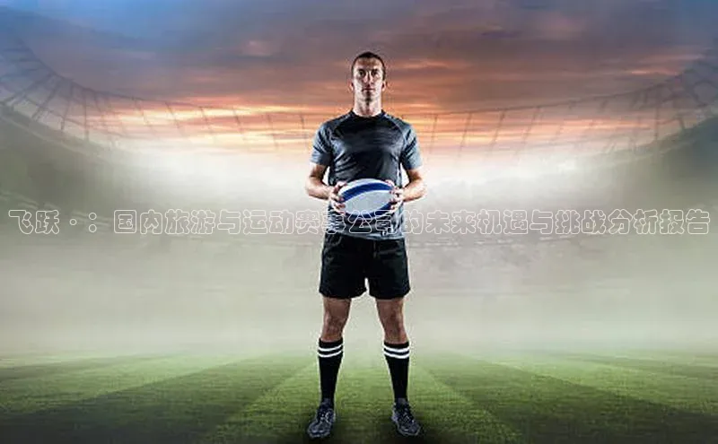 飞跃·：国内旅游与运动赛事公司的未来机遇与挑战分析报告