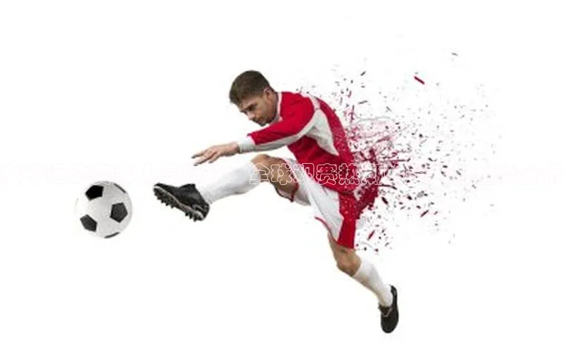 女子运动赛事人气飙升：全球观赛热潮的兴起与趋势分析