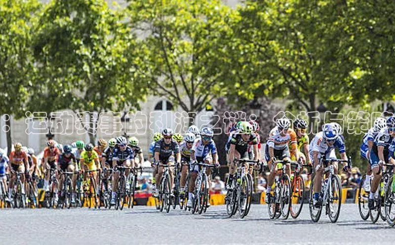 ：运动赛事的利润之谜：分析与策略