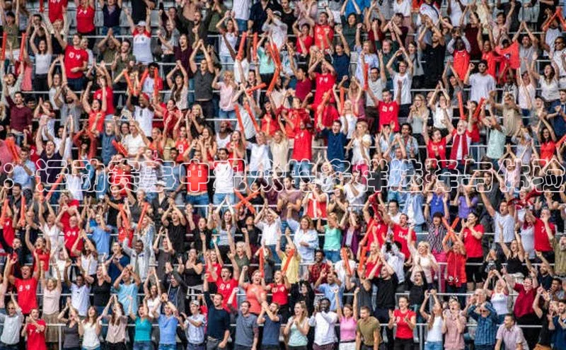 ：运动赛事中观众的多样选择与体验